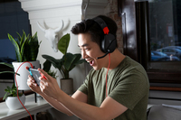 Turtle Beach 12