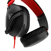Turtle Beach 19