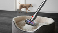 Dyson 3