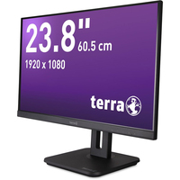 Terra 4