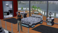 Videogame 3