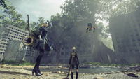Square Enix 25
