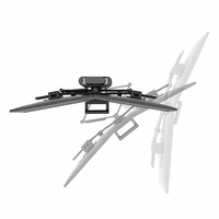 Ergotron 2