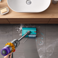 Dyson 11