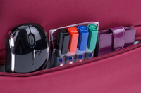 Riva Case 11