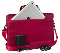 Riva Case 16