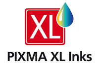 Can. Ink Pixma Ts615 9