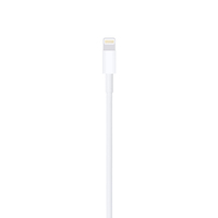 Apple 2