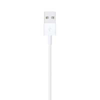 Apple 3