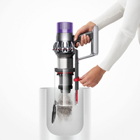 Dyson 13