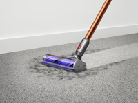 Dyson 11