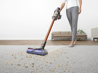 Dyson 12