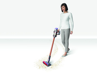 Dyson 13