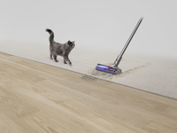 Dyson 4