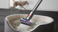 Dyson 15