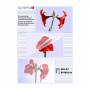 Olympia - Laminierfolien DIN A3, 50 Stck 80 mic