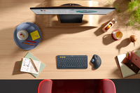Logitech 14