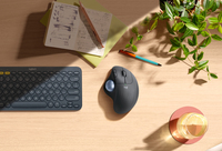 Logitech 15