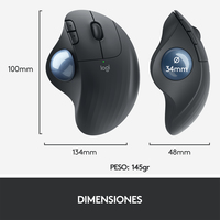 Logitech 31