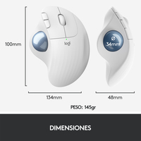 Logitech 6