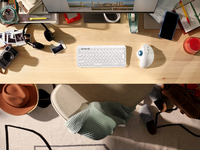 Logitech 25