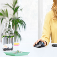 Logitech 29
