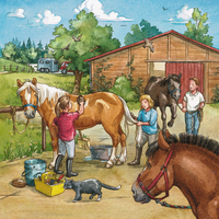 Ravensburger 09237 - Mein Reiterhof, 3 X 49 Teile Puzzle 1