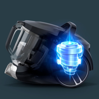 Rowenta 11