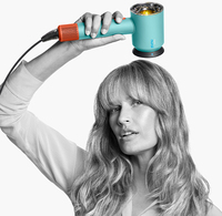 Dyson 13