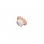 Legamaster - WOODEN Magnet 25mm 5St. - China - 25 mm - 25 mm - 15,5 mm - 25 g - 140 mm (7-181725)