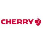 Cherry - CHERRY DW 9100 SLIM - Tastatur-und-Maus-Set - kabellos - 2.4 GHz, Bluetooth 4.2 - QWERTY - GB - wei, Silber [DE-Version, German Keyboard]