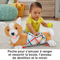 Fisher-price 12