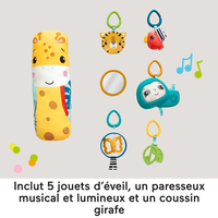 Fisher-price 14