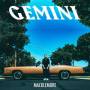 Gemini 1