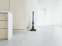 Dyson 10