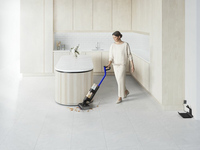 Dyson 6