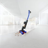 Dyson 13