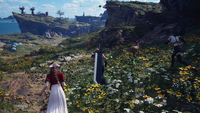 Square Enix 6