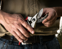 Felco 4