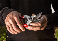 Felco 1
