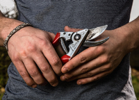 Felco 3