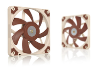 Noctua 7