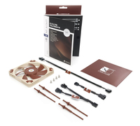 Noctua 3