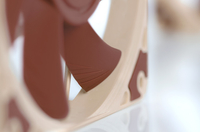 Noctua 6
