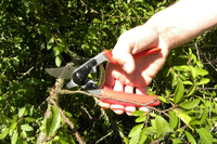 Felco 2