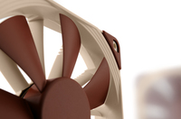 Noctua 4