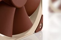 Noctua 5