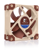 Noctua 1