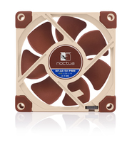 Noctua 3