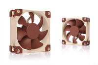 Noctua 5